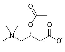 Acetyl-L-Carnitine